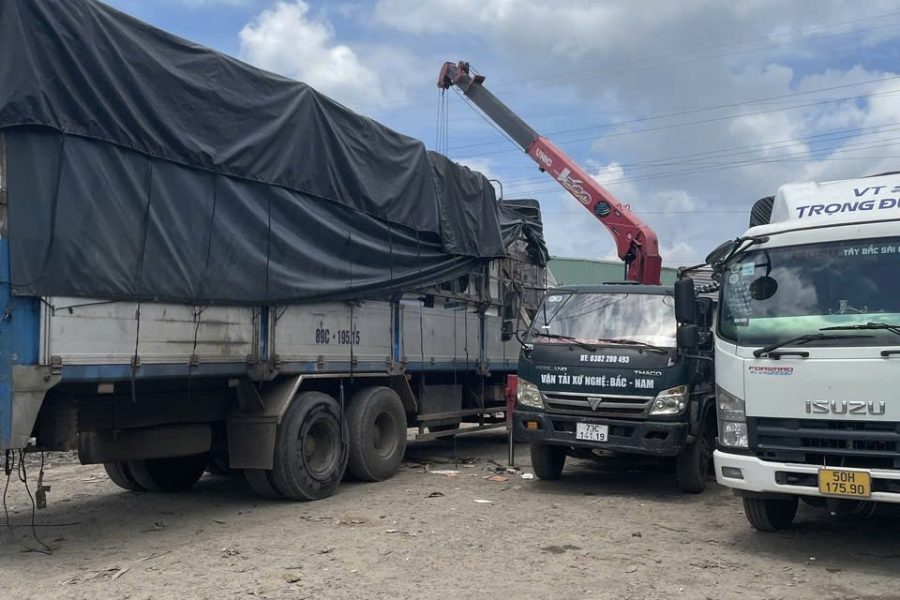 Sử dụng xe tải chuyên dụng và chọn lựa kích thước phù hợp để vận chuyển. Sử dụng xe tải chuyên dụng và chọn lựa kích thước phù hợp để vận chuyển.